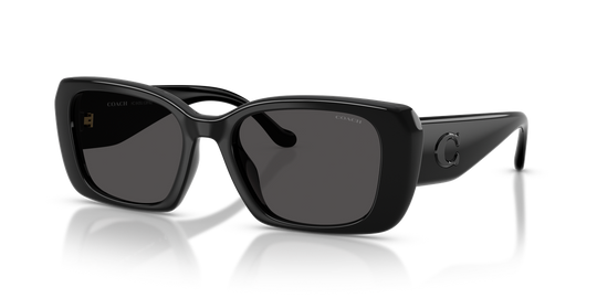 Coach CBY82 - Black / Grey Solid (500287)