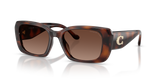 Dark Tortoise / Brown Gradient Polarized (5120T5)