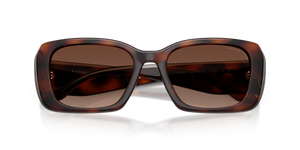 Dark Tortoise / Brown Gradient Polarized (5120T5)
