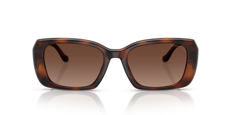 Coach CBY82 in Dark Tortoise / Brown Gradient Polarized (5120T5) - Alternate View
