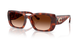 Caramel Tortoise / Brown Gradient (577474)