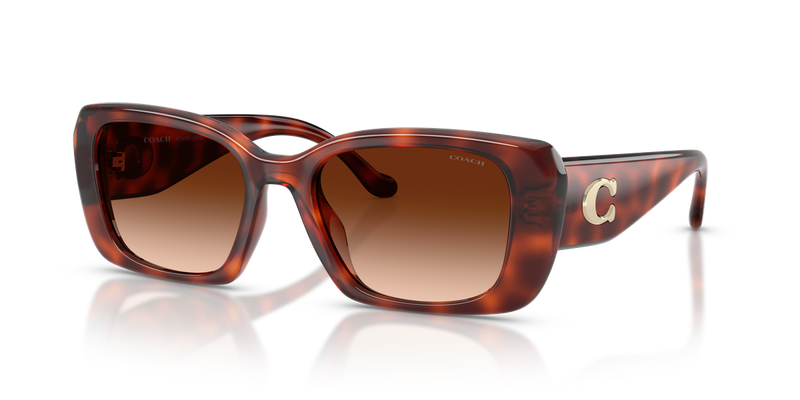 Coach CBY82 in Caramel Tortoise / Brown Gradient (577474) - Alternate View