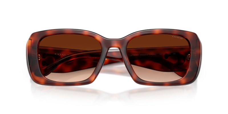 Coach CBY82 in Caramel Tortoise / Brown Gradient (577474) - Alternate View