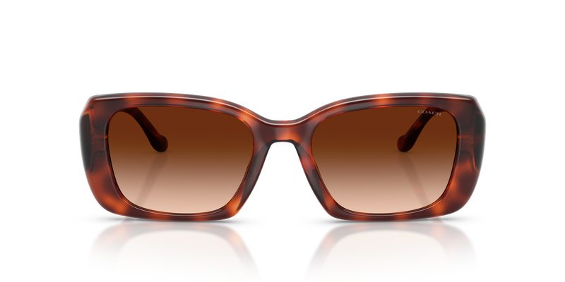 Coach CBY82 in Caramel Tortoise / Brown Gradient (577474) - Alternate View