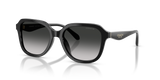 Black / Grey Gradient (50023C)