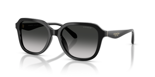 Black / Grey Gradient (50023C)