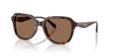 Dark Tortoise / Brown Solid (512073)