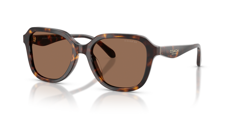 Coach CBY89 in Dark Tortoise / Brown Solid (512073) - Alternate View