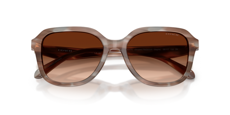 Coach CBY89 in Striated Redwood/Maple / Brown Gradient (590174) - Alternate View