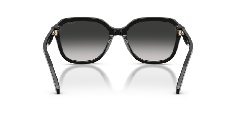 Coach CBY87 in Black / Grey Gradient (50023C) - Temple Detail