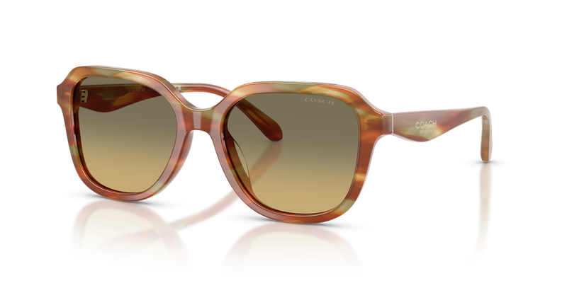 Coach CBY87 in Striated Bark/Moss / Green Grey Gradient (5898L0) - Alternate View
