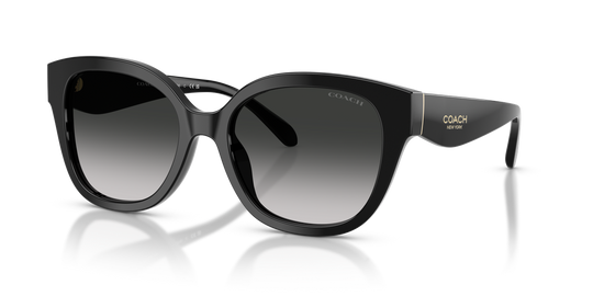 Coach CBY94 - Black / Grey Gradient (500287)