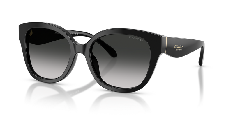 Coach CBY94 in Black / Grey Gradient (500287) - Front View