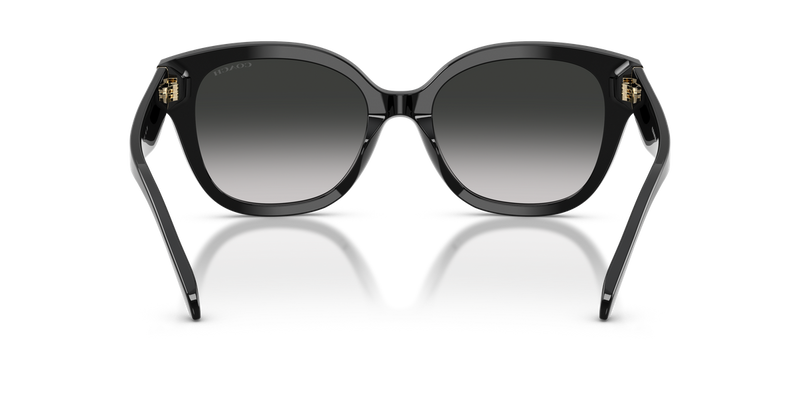Coach CBY94 in Black / Grey Gradient (500287) - Temple Detail