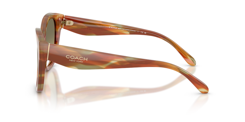 Coach CBY94 in Striated Bark/Moss / Green Grey Gradient (5898L0) - Alternate View