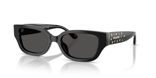 Black / Grey Solid (500287)
