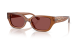 Transparent Brown / Wine Solid (581175)
