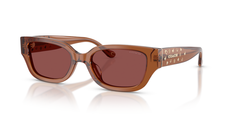 Coach CBZ52 in Transparent Brown / Wine Solid (581175) - Alternate View