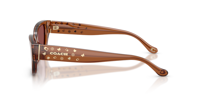 Coach CBZ52 in Transparent Brown / Wine Solid (581175) - Alternate View