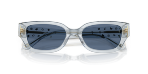 Transparent Light Blue / Blue Solid (590480)