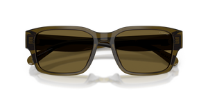 Transparent Olive / Green Solid (591073)
