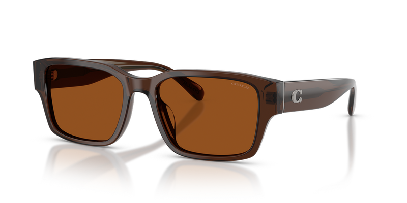 Coach CBY96 in Transparent Brown / Brown Solid (591173) - Alternate View