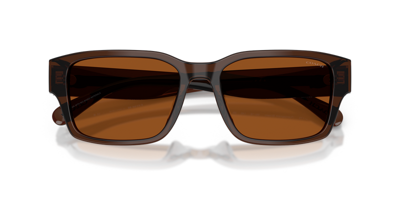 Coach CBY96 in Transparent Brown / Brown Solid (591173) - Alternate View