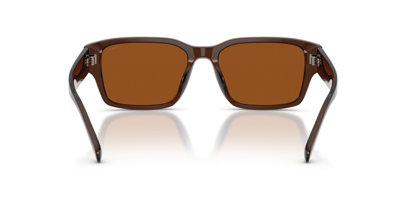 Coach CBY96 in Transparent Brown / Brown Solid (591173) - Alternate View