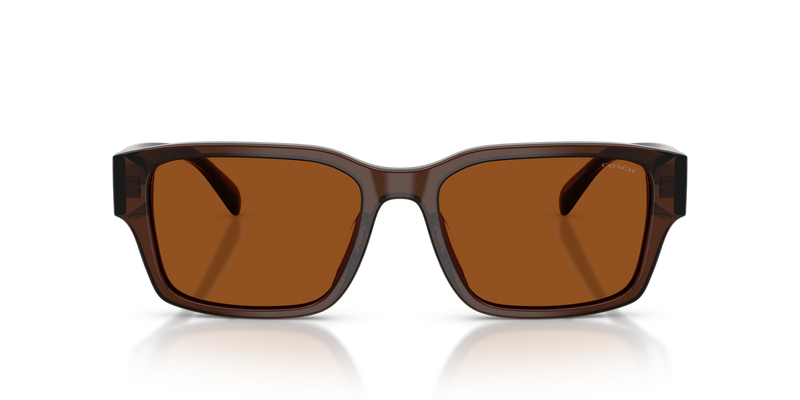 Coach CBY96 in Transparent Brown / Brown Solid (591173) - Alternate View