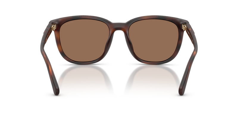 Coach CCA00 in Matte Dark Tortoise / Brown Solid (512073) - Alternate View