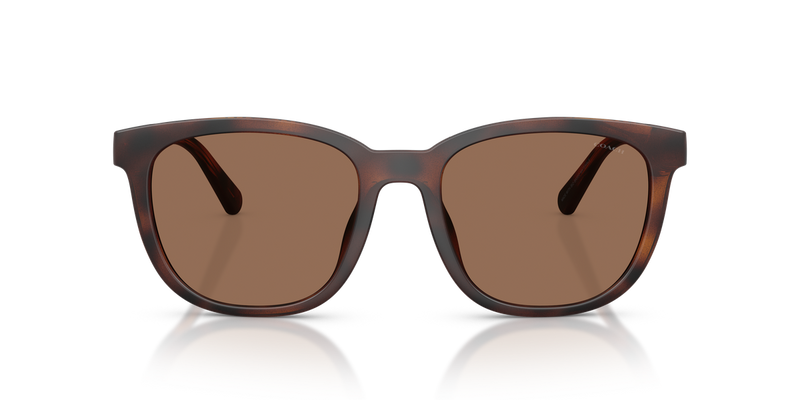 Coach CCA00 in Matte Dark Tortoise / Brown Solid (512073) - Alternate View