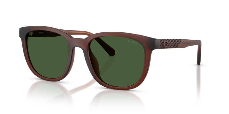 Coach CCA00 in Matte Transparent Brown / Green Solid (591171) - Alternate View