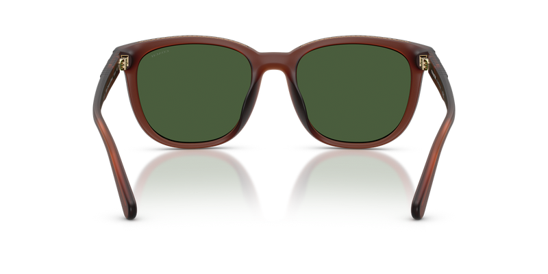 Coach CCA00 in Matte Transparent Brown / Green Solid (591171) - Alternate View