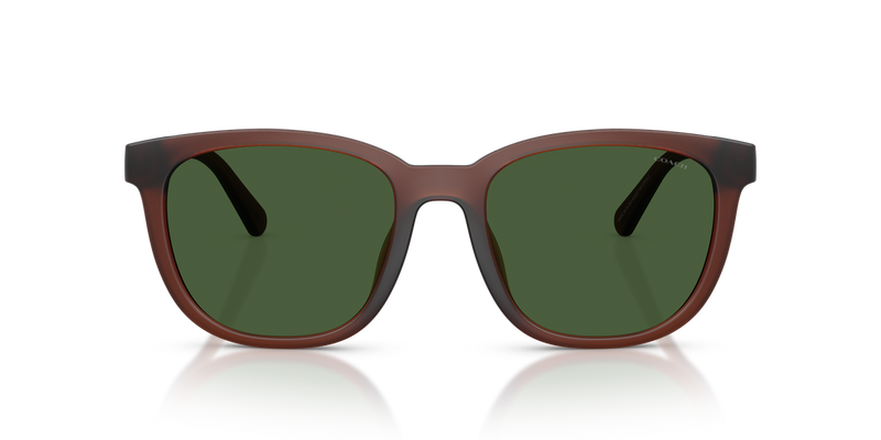 Coach CCA00 in Matte Transparent Brown / Green Solid (591171) - Alternate View