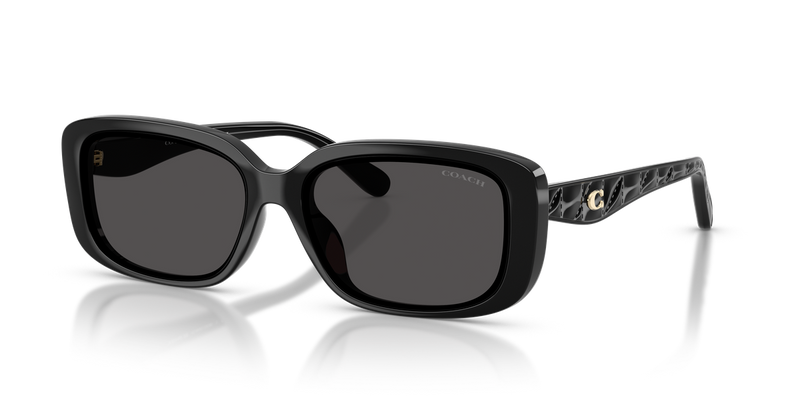 Coach CBY86 in Black / Grey Solid (500287) - Alternate View