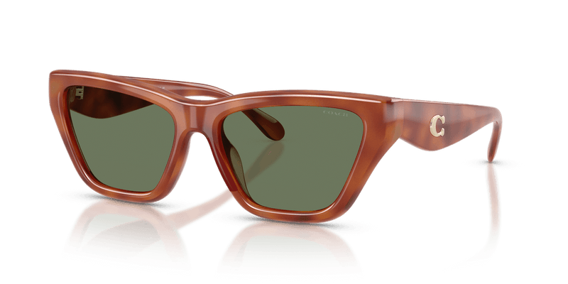 Coach CDP33 in Caramel Tortoise / Green Solid (577482) - Alternate View