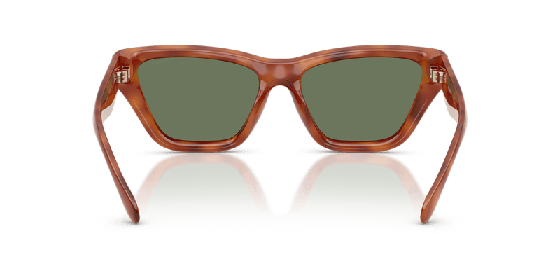 Coach CDP33 in Caramel Tortoise / Green Solid (577482) - Alternate View