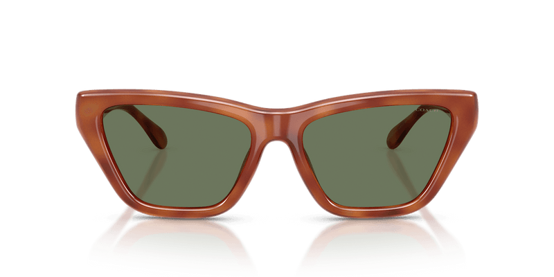 Coach CDP33 in Caramel Tortoise / Green Solid (577482) - Alternate View