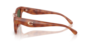Caramel Tortoise / Green Solid Polarized (57749A)