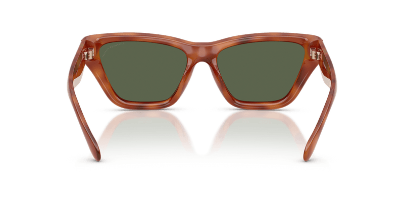 Coach CDP33 in Caramel Tortoise / Green Solid Polarized (57749A) - Alternate View