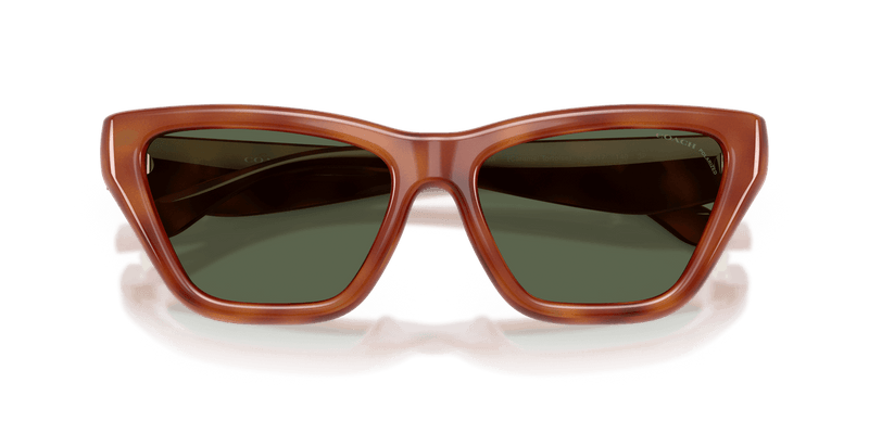 Coach CDP33 in Caramel Tortoise / Green Solid Polarized (57749A) - Alternate View