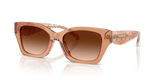 Transparent Brown / Brown Gradient (593774)