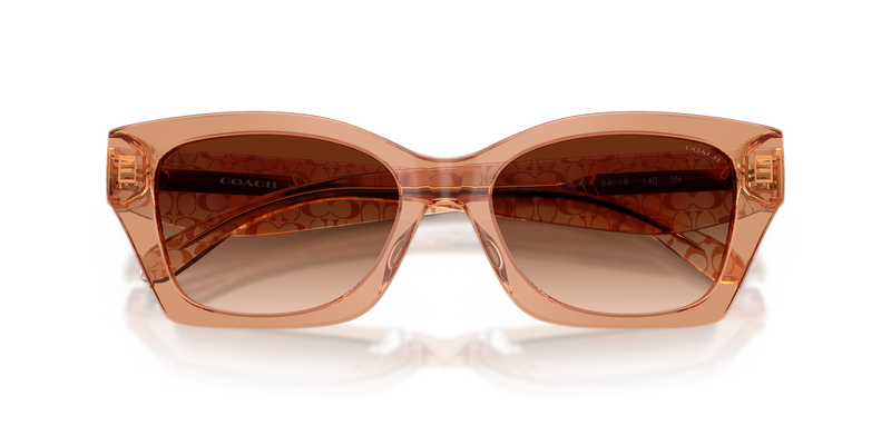 Coach CDP49 in Transparent Brown / Brown Gradient (593774) - Alternate View