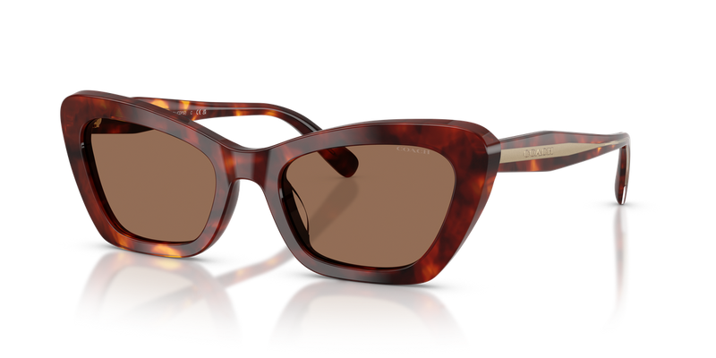 Coach CDP52 in Walnut Tortoise / Brown Solid (593873) - Alternate View