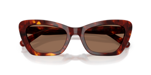 Walnut Tortoise / Brown Solid (593873)
