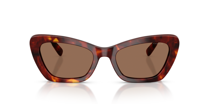 Coach CDP52 in Walnut Tortoise / Brown Solid (593873) - Alternate View