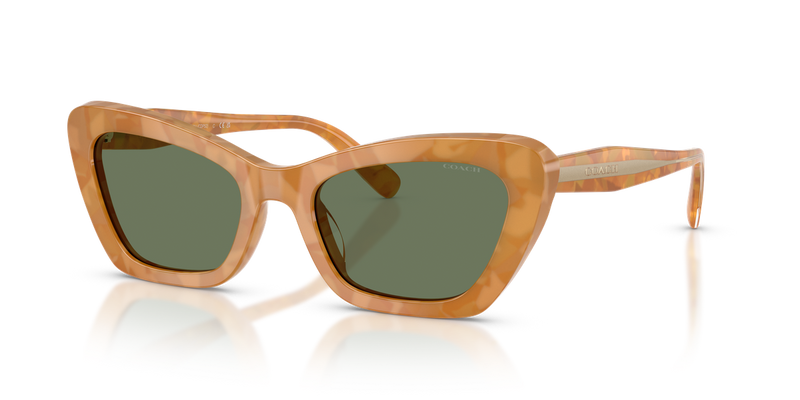 Coach CDP52 in Blonde Tortoise / Green Solid (593982) - Alternate View