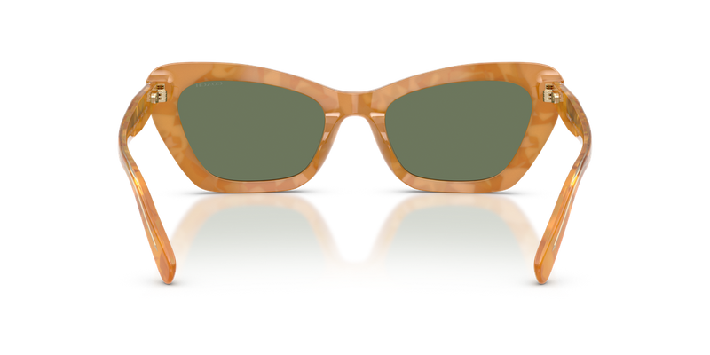 Coach CDP52 in Blonde Tortoise / Green Solid (593982) - Alternate View