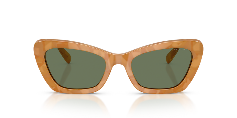 Coach CDP52 in Blonde Tortoise / Green Solid (593982) - Alternate View