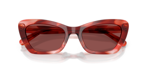 Cherry Tortoise / Wine Solid (594075)